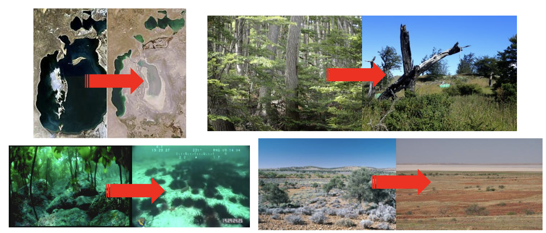 Examples of global and local ecosystem collapse: Aral Sea, Cloud forest, Kelp forest, Arid shrublands